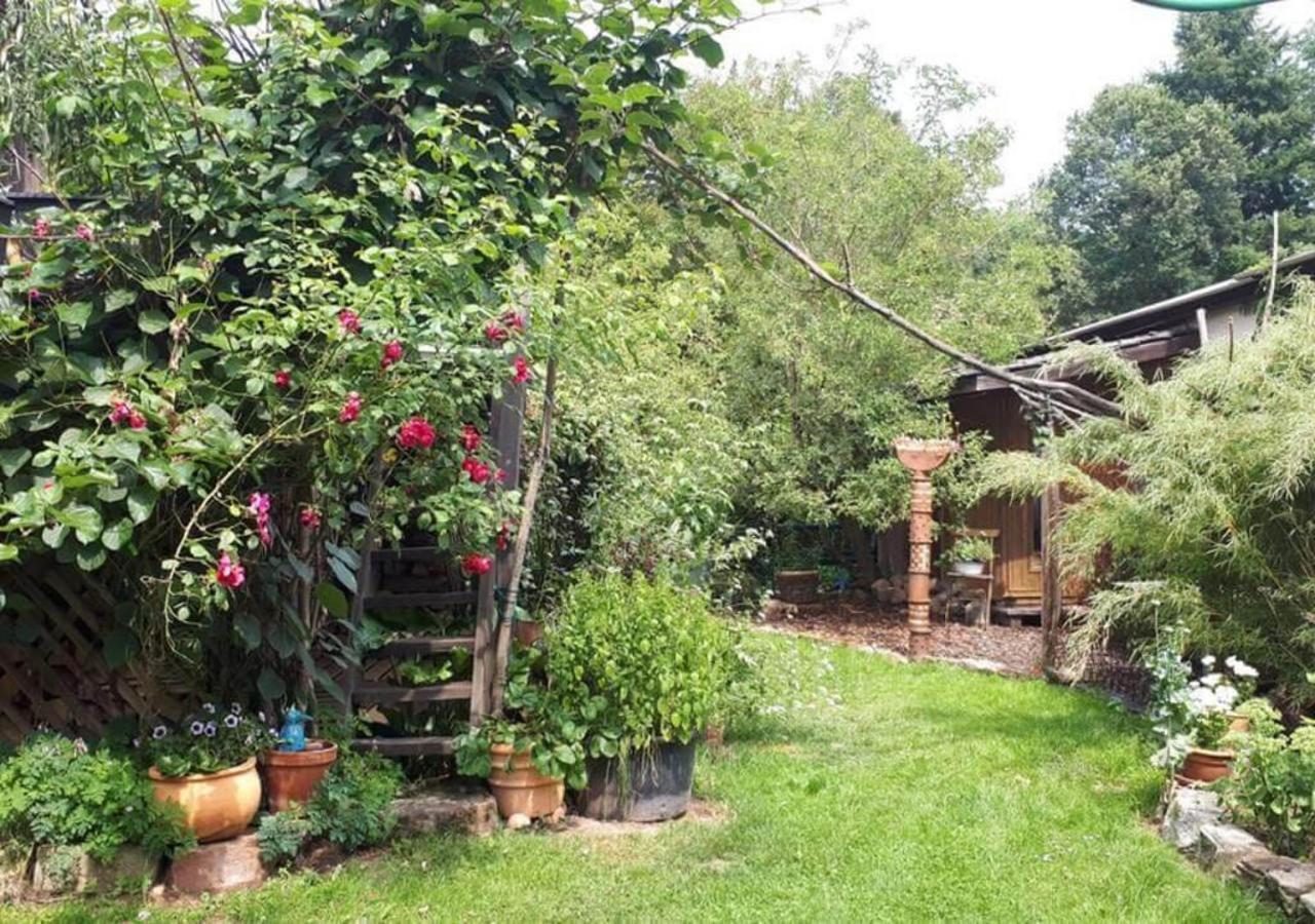 Aeltestes Haus In Quentel - Ferienwohnung 1 Mit Kleinem Garten Hessisch Lichtenau Luaran gambar